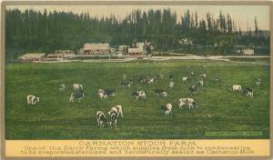 Advertising Farm Agriculture Carnation Stock Farm Cow C-1910 Postcard 6001