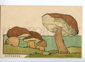 231837 RUSSIA KRUGLIKOVA boletus mushrooms Vintage St. Eugenie