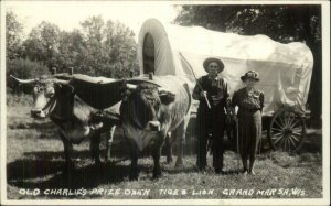 Grand Marsh WI Old Charlie's Prize Oxen Tige & Lion Covered Wagon RPPC