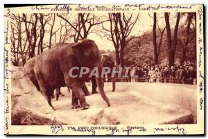 Old Postcard Elephant International Colonial Exposition Paris 1931 Elephants