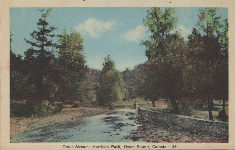 Owen Sound Trout Stream Harrison Park Canada Old Postcard