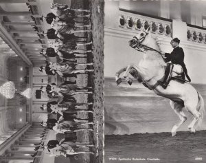 Spanish Wien Riding School Austria 2x Vintage Real Photo Postcard s