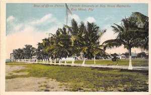 Parade Grounds Row of Cocoa Palms Key West FL 