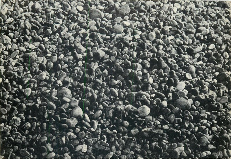Postcard illustration pebbles on the beach by Francoise Legrand