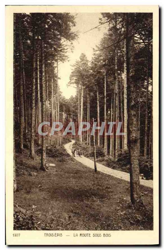 Old Postcard Trois Epis Route Sous Bois