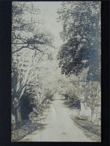 Norfolk possibly LITCHAM - A COUNTRY LANE c1908 RP Postcard