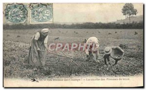 Old Postcard Field work The harvest potatoes