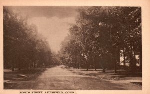 Vintage Postcard South Street Residential Houses View Litchfield Connecticut CT