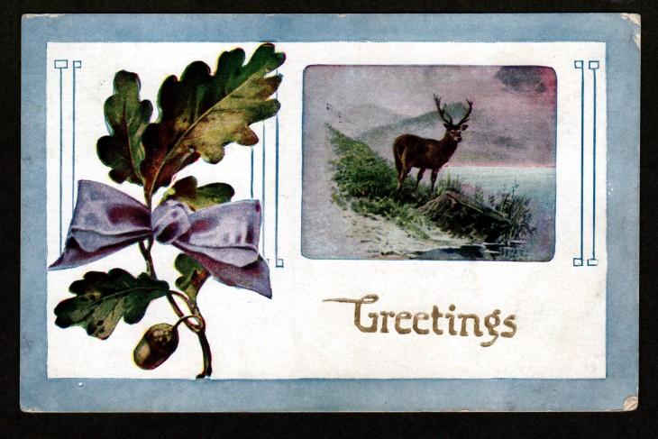 U.S. 1909 Picture Postcard Greetings!