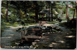 Mineral Springs, Footbridges Mt. Holly Park Carlisle PA Vintage Postcard E73