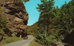 Vintage Postcard Nature's Stone Face The Great Smoky Mountains National Park