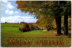 Postcard - New York