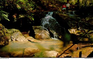 Alabama Winston County Natural Bridge One Of The Waterfalls