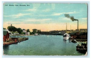 1914 Harbor View Kenosha Wisconsin WI Antique William Reich Postcard