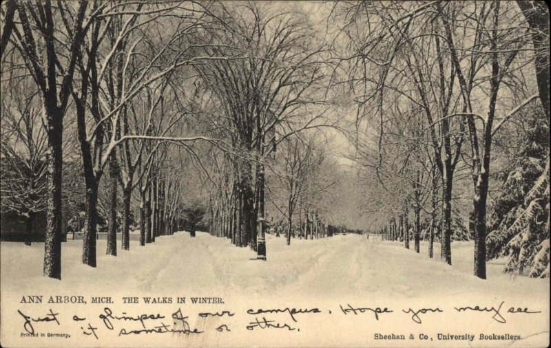 Ann Arbor Michigan MI Winter Scene Tuck c1900s-10s Postcard