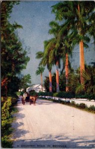 Vtg Country Road in Bermuda Horse Drawn Wagon 1930s Old View Postcard