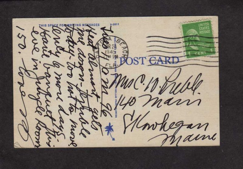 FL Orange tree blossoms Sunshine State Florida Postcard