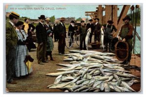 Morning Fishing Catch Santa Cruz CA 1909 DB Postcard U16