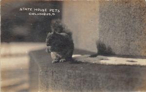 Columbus Ohio 1910 RPPC Real Photo Postcard Squirrel State House Pets