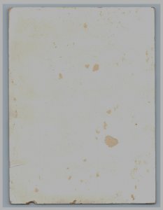1880s Victorian Trade Card Beautiful Winter Snow Holly Yellow & Blue Birds 3Z