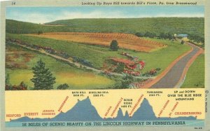 Pennsylvania Rays Hill Bills Palace Breezewood Lincoln Postcard Teich 22-2403