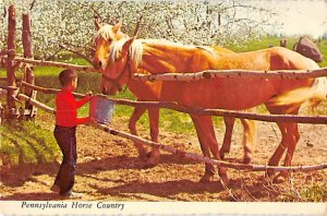 Pennsylvania Horse Country Misc, Pennsylvania PA  