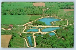 c1950's Aerial View Glacier Springs Trout Farm Ponds Plymouth Wisconsin Postcard