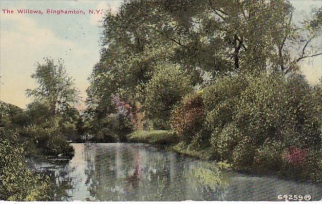 New York Binghamton The Willows 1910