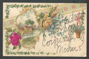 1908 PPC* greetings From Minn W/Flowers & Home Scene Emb W/Glitter Posted