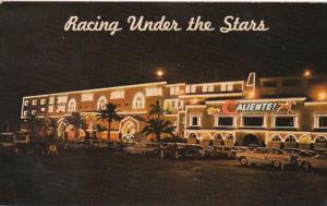 Mexico Tijuana Caliente Race Track Dog Racing Under The Stars 1953