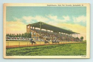 Harness Horse Racing Amphitheatre Fair Grounds Springfield Illinois Postcard