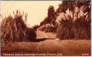 FRESNO, CA California   KEARNEY AVE Street Scene Pampas Grass  c1910s  Postcard