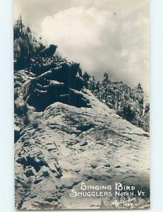 Old rppc SINGING BIRD AT SMUGGLERS NOTCH Cambridge & Jeffersonville VT HM2788