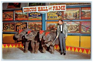 c1960 Accomplished Performers Early Age Baby Elephants Sarasota Florida Postcard