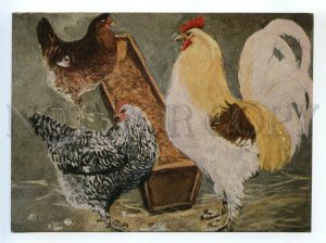 520370 USSR 1955 Plastov chickens circulation 50000 publishing house artist