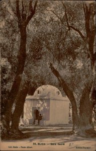 B577 Algeria Blida sacred wood postcard