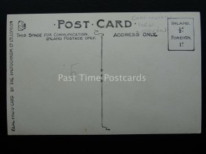 Devon Cockington OLD FORGE & FARRIER shows Cattle in Street c1906 RP Postcard