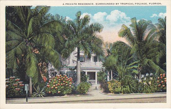 A Private Residence Surrounded By Tropical Foliage In Florida 1932 Curteich