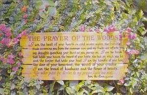 Florida Sarasota The Prayer Of The Woods