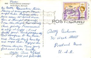 Palm Grove Gardens South Shore Bermuda Postcard