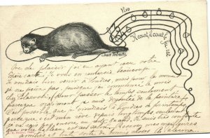 PC ANIMALS, OTTER AND CHORDS, JEAN TOLRACHE, Vintage Postcard (b38546)