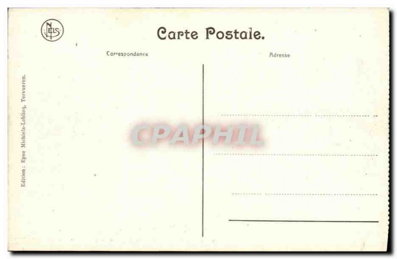 Old Postcard Tervueren New Museum of Congo pampering Lateral Group Gorilla Mo...