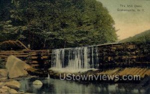 The Mill Dam in Grahamsville, New York