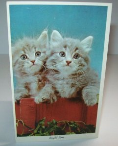 Christmas Postcard 2 Kittens Bright Eyes Art Creation 1980's Grey Cats Perched