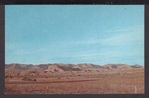 Utah Horses at Price ~ Chrome