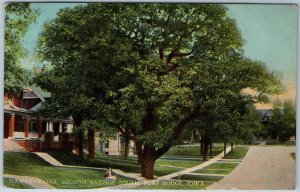 c1910s Fort Dodge, IA Hawkeye Oak Second 2nd Ave South Street Postcard Ft A196