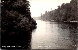 RPPC View on the Tahquamenon River, Newberry MI c1948 Vintage Postcard Q53