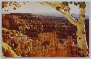 National & State Parks~Air View Bruce Canyon From Sunset Point~Vintage Postcard