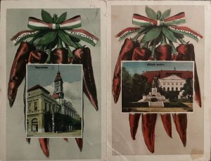 Hungary Kalocsa unit of 2 vintage postcards red peppers novelty 
