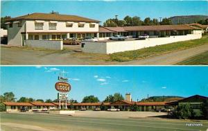 Autos 1960s Springerville Arizona Reeds Motor Lodge Roadside postcard 10948